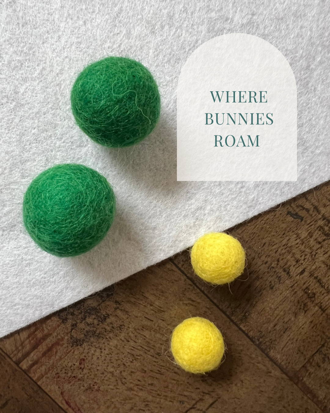 Where Bunnies Roam