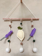 Postcard from Provence